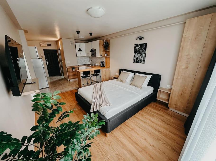 Agoll Victoria - Self Checkin Apartment Resita Exterior foto